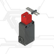 FS2196D024-F